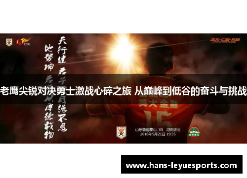 老鹰尖锐对决勇士激战心碎之旅 从巅峰到低谷的奋斗与挑战